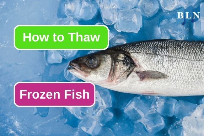 Here Is The Right Way To Thaw Frozen Fish